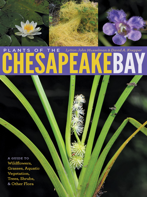 Title details for Plants of the Chesapeake Bay by Lytton John Musselman - Available
